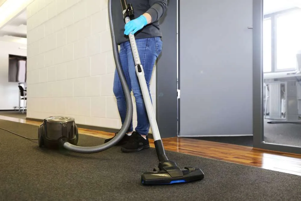 domestic cleaning services randburg